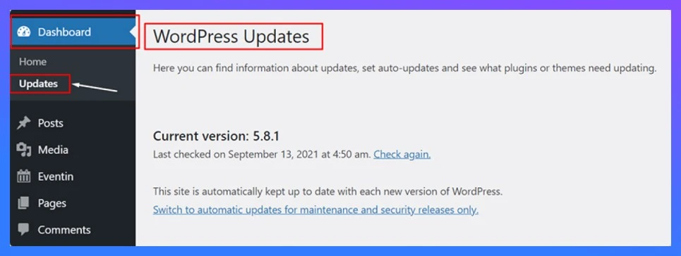 wordpress version update